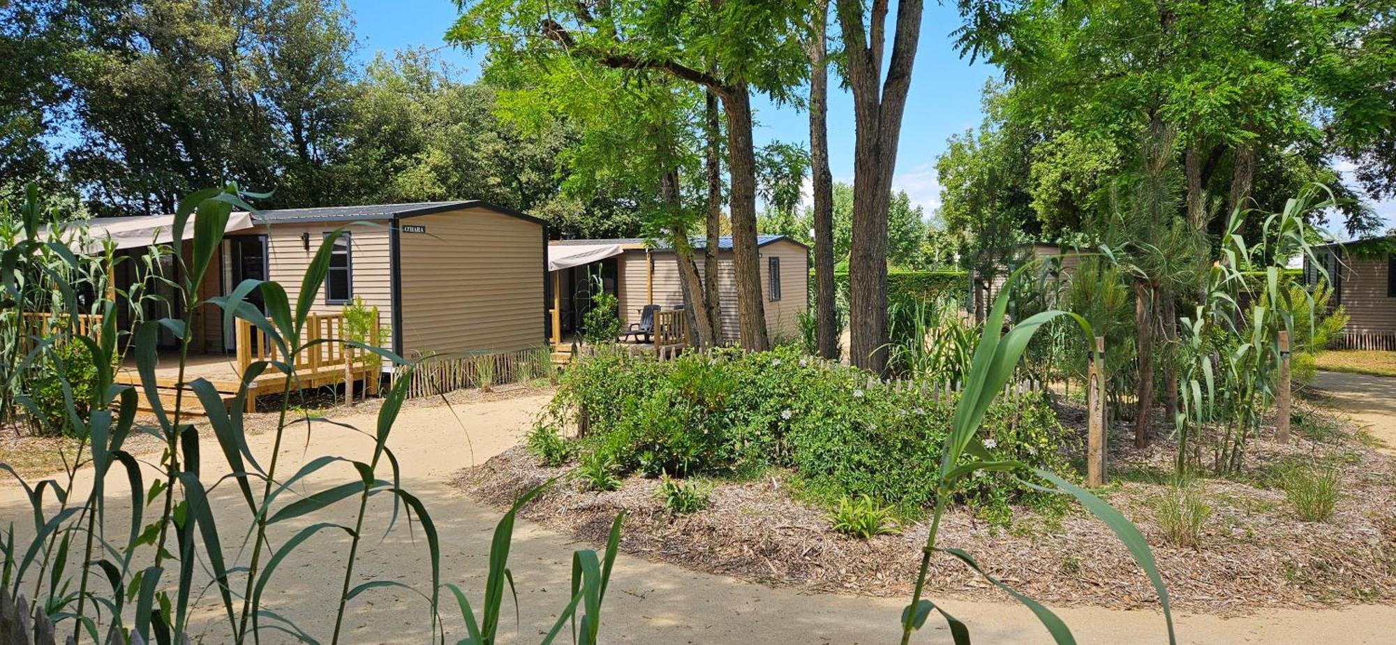 Camping Le Bois Verdon Saint-Jean-de-Monts Exteriér fotografie