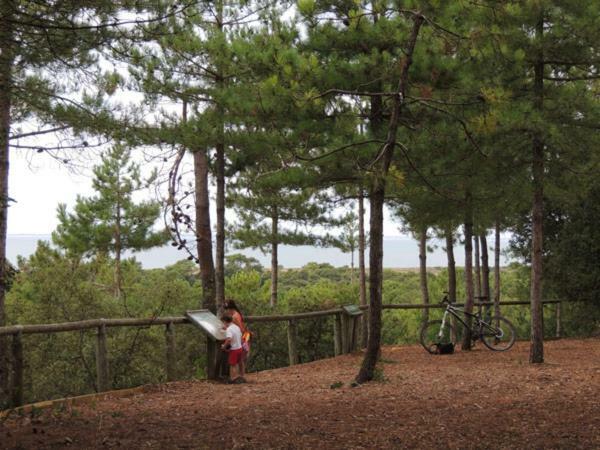 Camping Le Bois Verdon Saint-Jean-de-Monts Exteriér fotografie